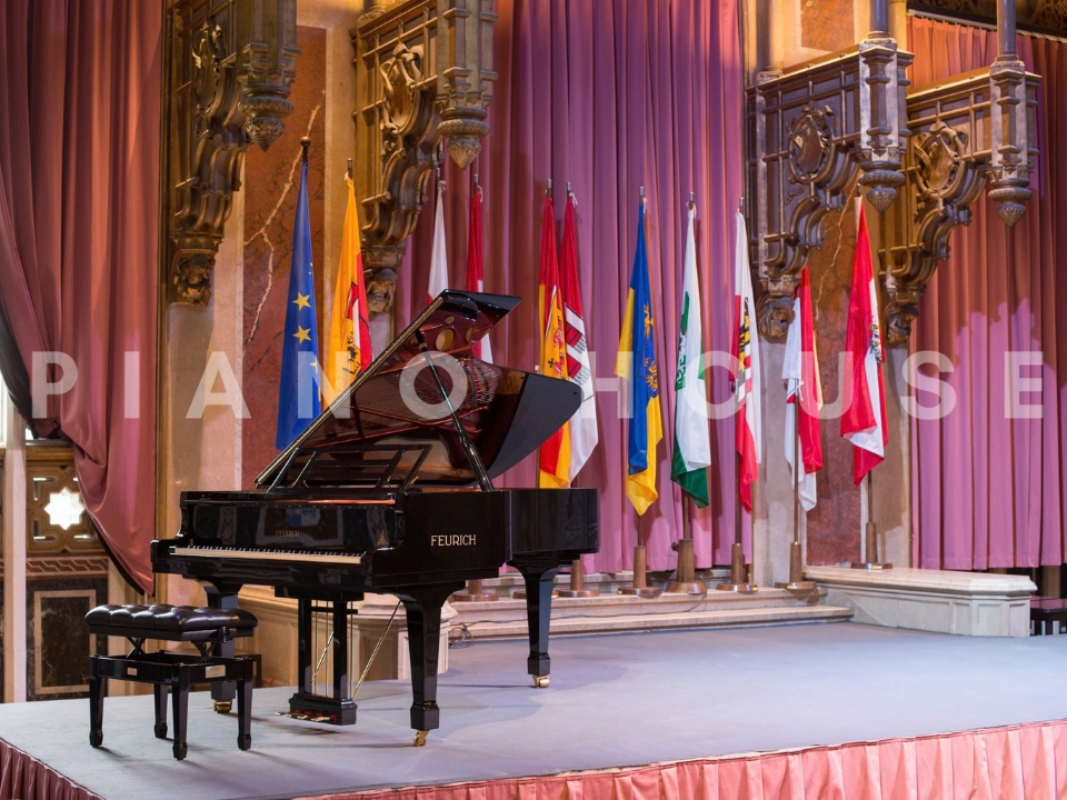 FEURICH 179 & DYNAMIC II (Black Polish & Brass)